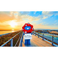 �y���y�ԑg�z�w��25�� �킪�S�̑�チ���f�B�[�x�o���ґ�2�e���Ȗڔ��\�@�~���N�~���N�A���h���q���C���E���΂�������o��