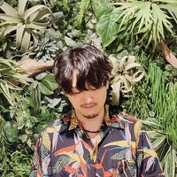 �y�����[�X�zGimgigam�A3�N�Ԃ�̃\���A���o���wNine Days Wonder�x��Local Visions���z�M�X�^�[�g