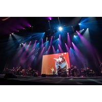 �y���C�u���|�[�g�zZARD�A35��ڂ̃f�r���[�L�O���Ƀ��C�u�J�Á@���H�ɂ̓A�R�[�X�e�b�N���C�u���J��