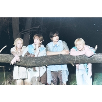 �y�f�W�^���A���o���z���{�f�r���[15���N��SHINee�A�ʎZ3���1��